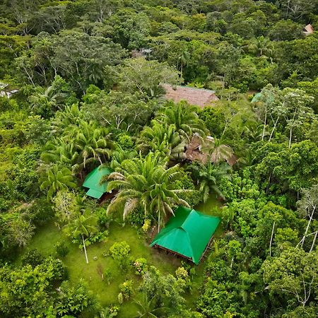 马尔多纳多港 Tronco Tambopata Adventure酒店 外观 照片
