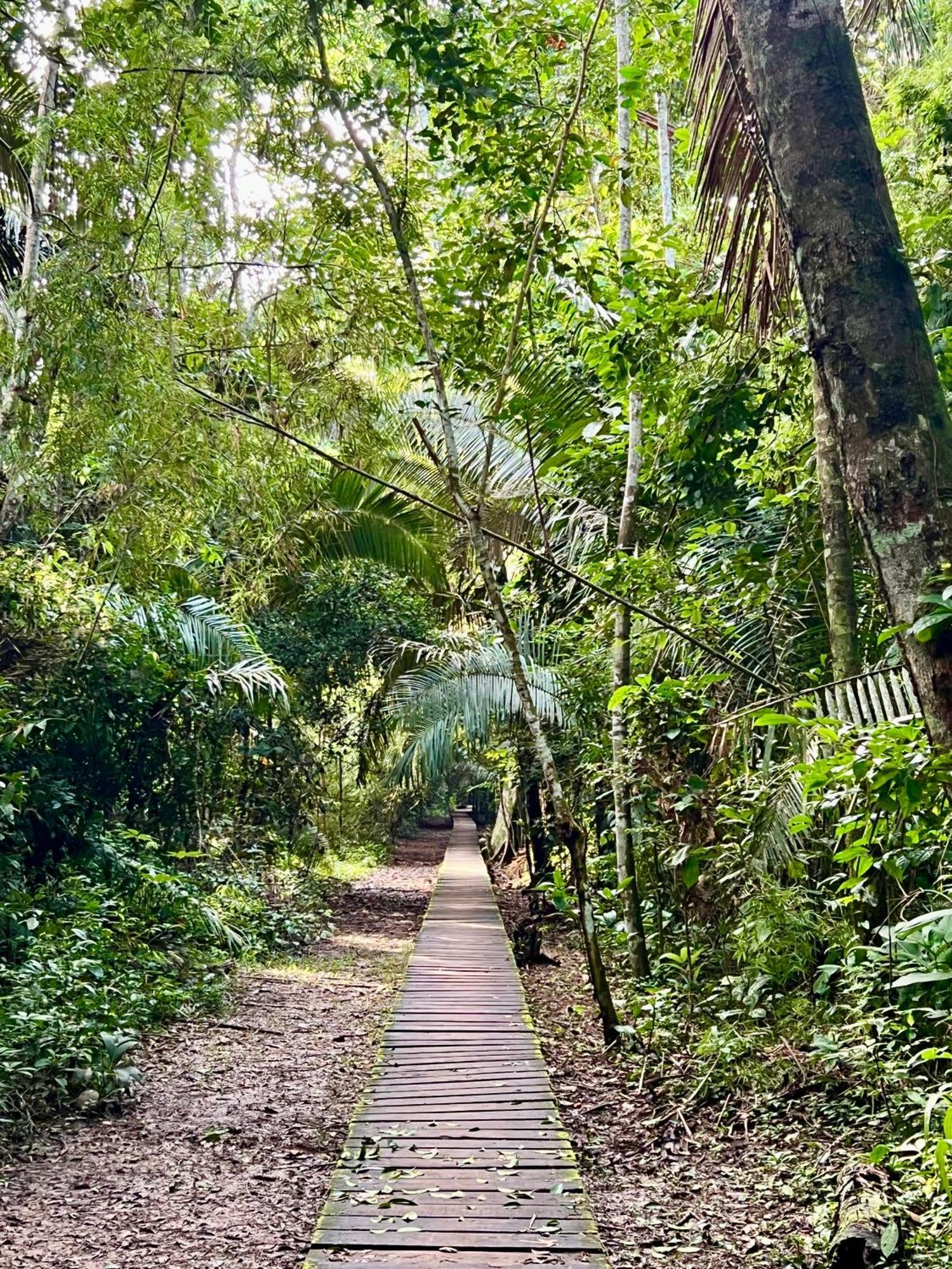 马尔多纳多港 Tronco Tambopata Adventure酒店 外观 照片
