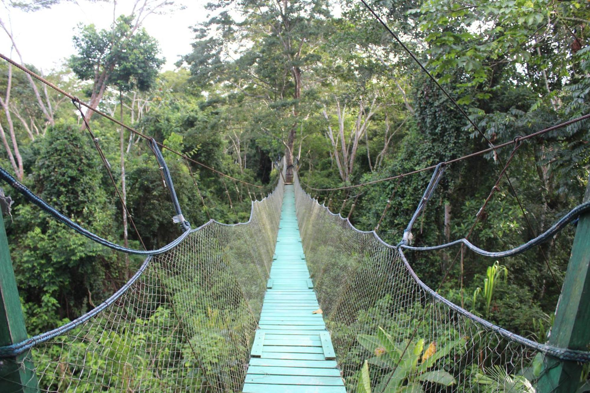 马尔多纳多港 Tronco Tambopata Adventure酒店 外观 照片