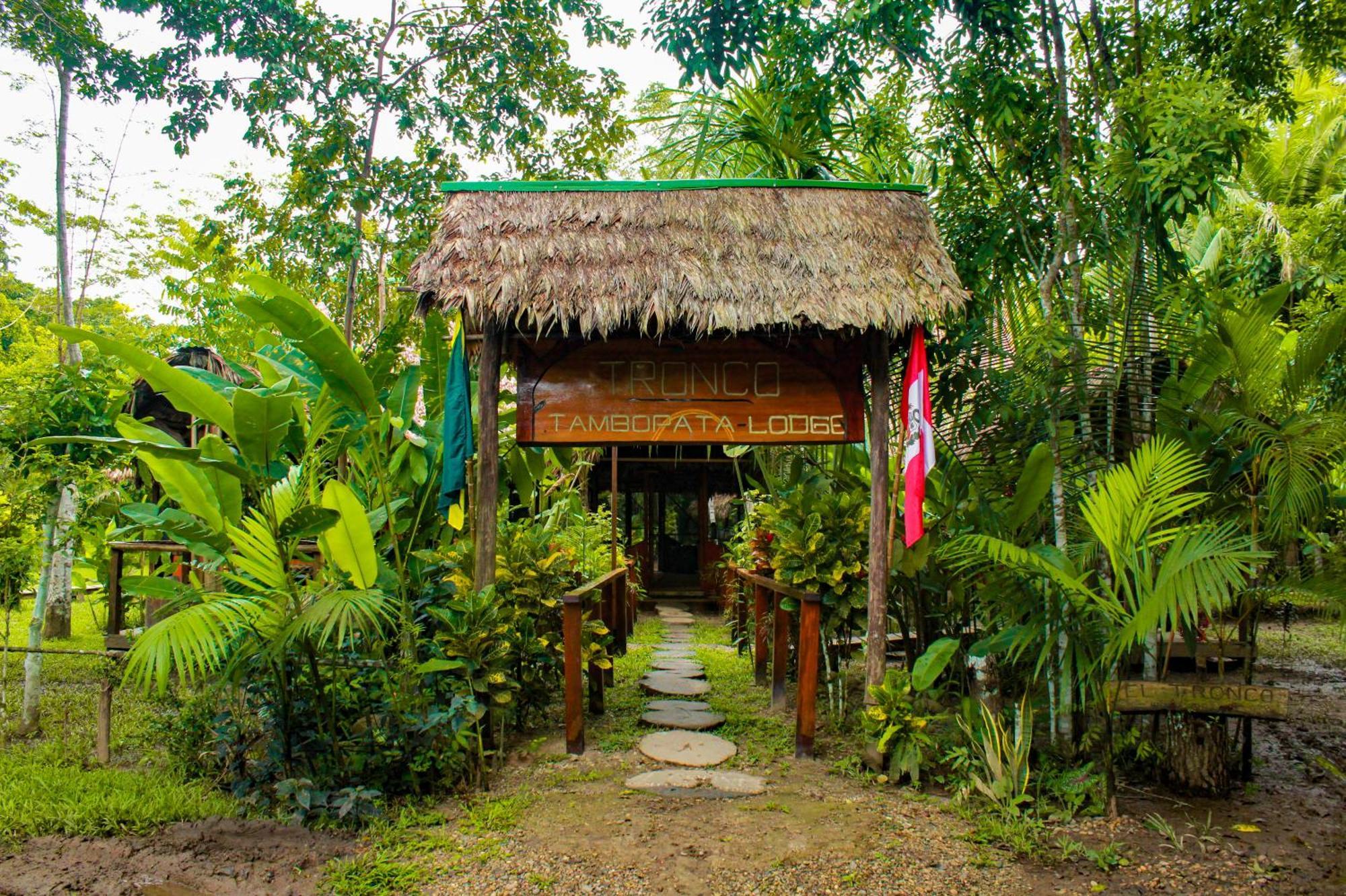 马尔多纳多港 Tronco Tambopata Adventure酒店 外观 照片