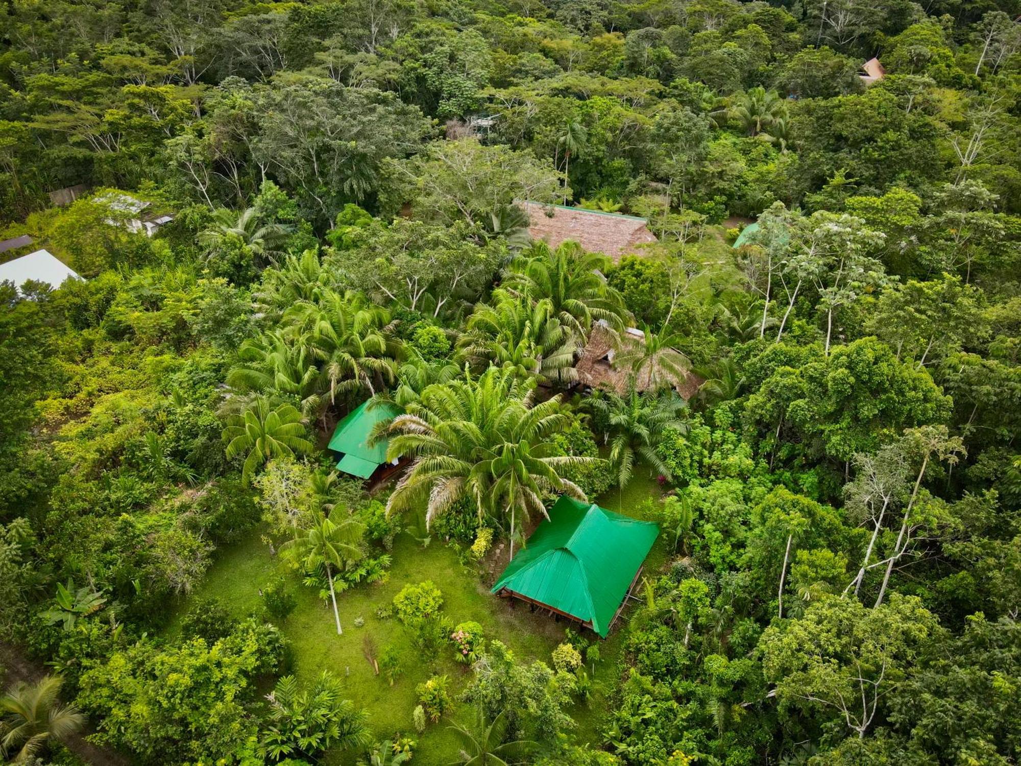 马尔多纳多港 Tronco Tambopata Adventure酒店 外观 照片
