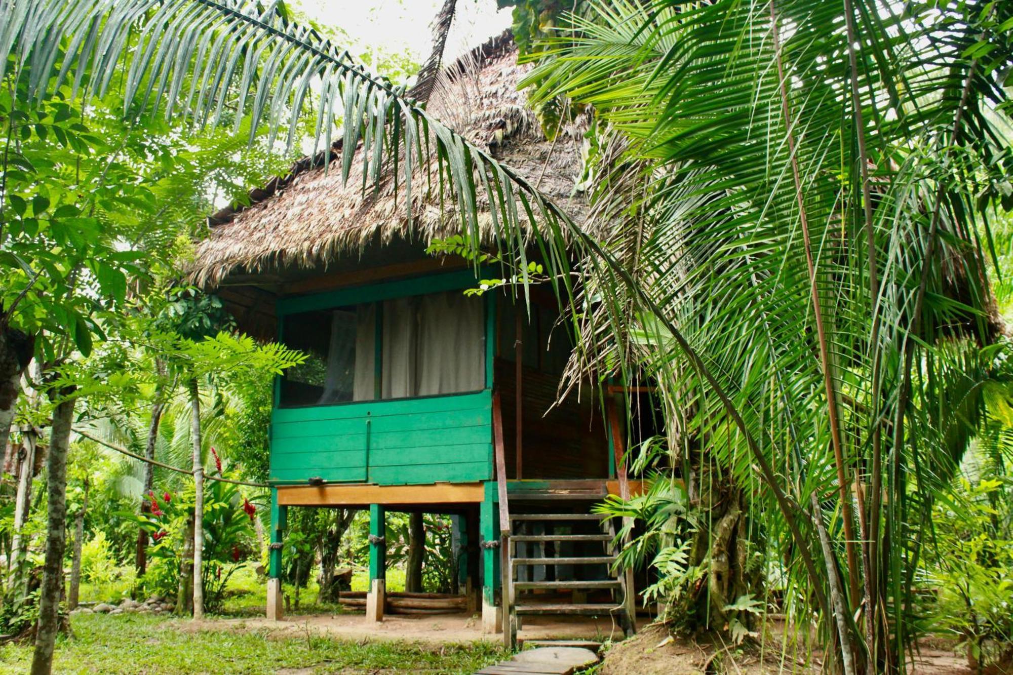 马尔多纳多港 Tronco Tambopata Adventure酒店 外观 照片